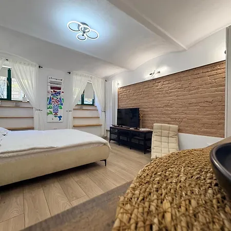 Gojdu By The River Appartement Timişoara