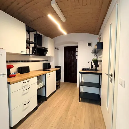 Gojdu By The River Temeşvar