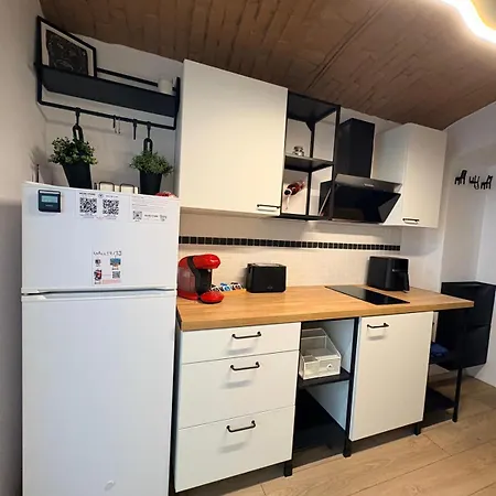 Gojdu By The River * Timişoara