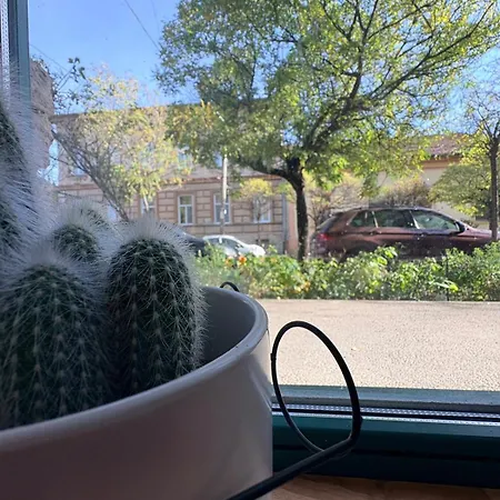 Daire Gojdu By The River