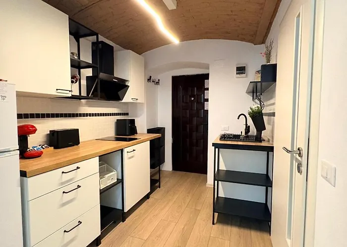 Gojdu By The River Temeşvar