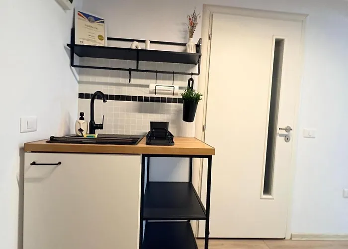 Daire Gojdu By The River Temeşvar