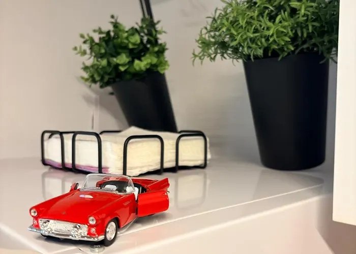 Gojdu By The River شقة تيميشورا