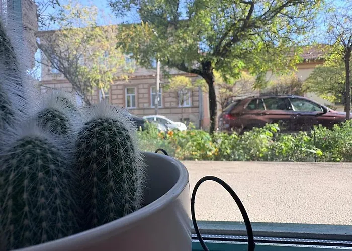 Daire Gojdu By The River